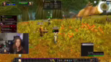 Erste Quests und Levelaufstie…