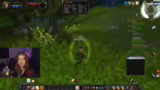 World of Warcraft