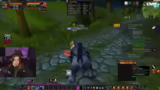 Addons, Taschenglück und Leve…