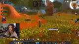 Berufe, Guides und Dungeon-Vo…