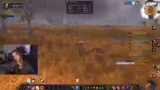Questbelohnung und Teamwork