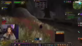 Quest-Erkundung und Item-Mana…