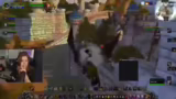 Catch-Up Dungeons und Zanzil
