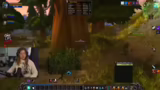 Buff-Management und Dungeon-P…