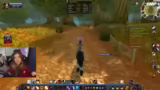 Vorstellung des Streams und P…