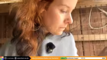 Live aus dem Tierheim mit Gast @Formula…