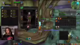 Level-Cap, Haustiere und Monk…