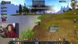 Solo-Quests und Level-Strateg…