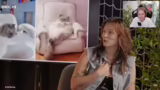 Just Chatting