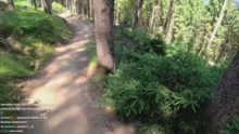 Downhill Mountainbiken in Innsbruck