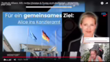 AfD Strategie und Zielsetzung