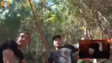 Reaktion auf Survival Maddins…