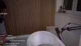 Katzen und Champion-Verpaarung
