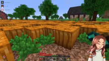 ELEMENTS 4 -> TAG 6 (1 Sub/100 Bits = B…