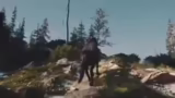 The Witcher IV