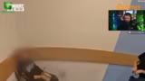 Just Chatting
