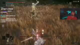 Bug-Entdeckung, Zufallsgeneri…