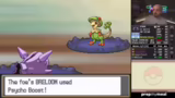 Raid und Analyse der Pokémon-…