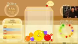 Suika Game