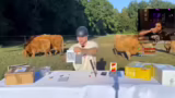 Bewertung von Fanpost-Videos