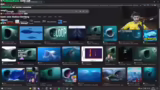 Reaktion auf Video über ausge…