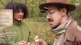 Giftige Champignons, alte Rui…