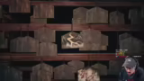 Erkundung der Boss-Arena und…