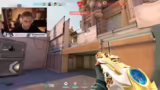 Diskussion über Vandal Skins…