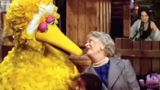 Big Bird und die Challenger-K…