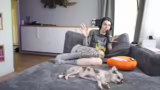 Just Chatting
