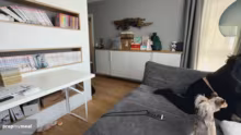 20% auf alles außer Tiernahrung ! DE !a…