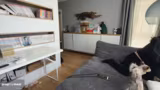 20% auf alles außer Tiernahrung ! DE !a…