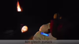 Talkrunde mit Fachanwälten zu…