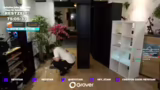 Diskussion über Live-Service-…