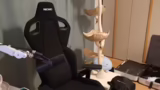 Just Chatting