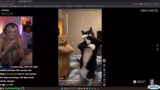 Just Chatting