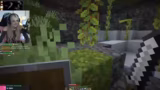 Villager-Management und PvP-S…