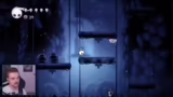 Hollow Knight