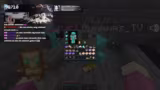 Nether wurde Aufgemacht! Road to 2,9k D…