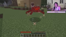 MEIN ERSTES MAL MINECRAFT? !social