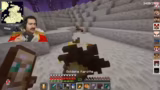 Elytra-Gewinnung und MLG-Mome…