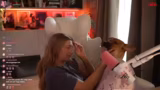 Just Chatting