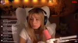 Tierheim-Stream und Gamescom-…