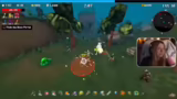 Megabonk