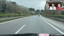 Auf dem Weg in‘s Tierheim • !spenden