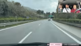 Auf dem Weg in‘s Tierheim • !spenden
