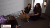 Tierheim-Perspektive auf Zuch…