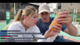 Planung für Universal Studios…