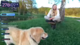 Spaziergang und Hundebegegnun…