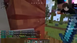 Minecraft-Gameplay und Diskus…